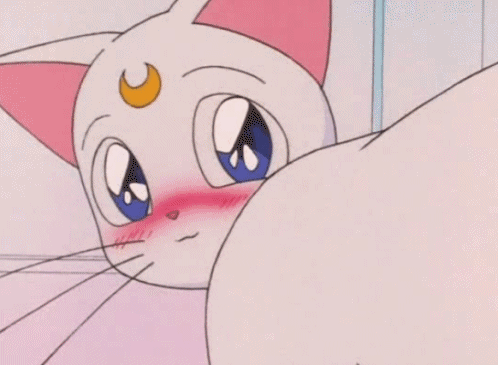 gif shortener shorten sailor moon cat gif dimensions: 498x365