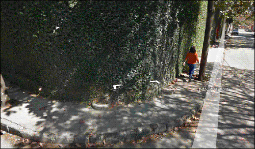 Google Street View GIF - Find & Share on GIPHY