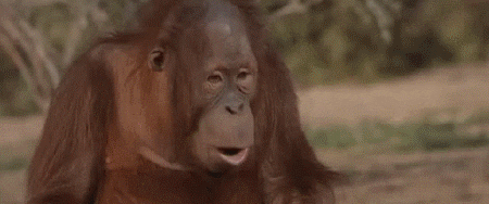 silent animated GIF
