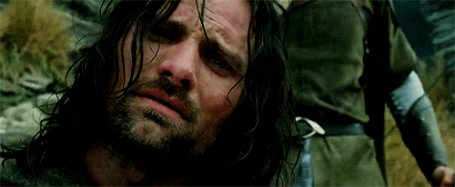 the lord of the rings aragorn two towers petra animated GIF