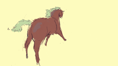 horse gif - find & share on giphy