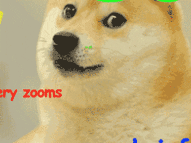 Doge GIF - Find & Share on GIPHY
