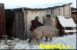 russia (627) Animated Gif on Giphy
