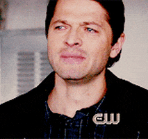 Animated Gif on Giphy