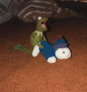 weird muppets kermit the frog animated GIF