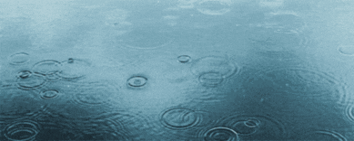 Water Drops Gif GIFs on Giphy
