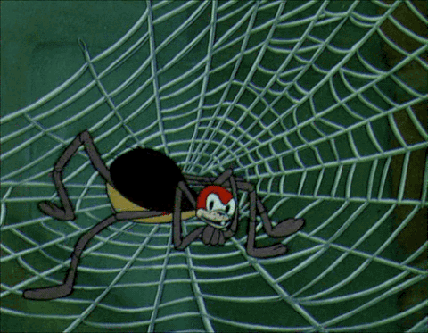 Spiders GIFs - Find & Share on GIPHY