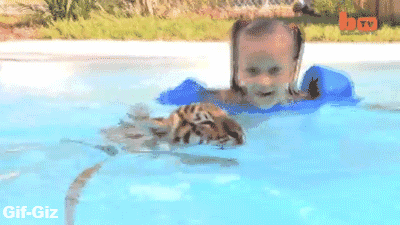 Pool Animated GIF