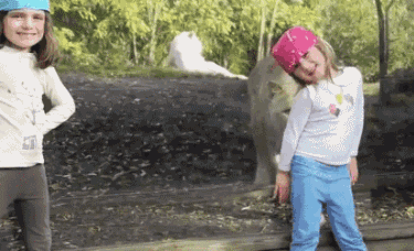 this gif has everything: blonde, lion, zoo, omfg!
