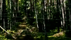 jeremy renner animated GIF 