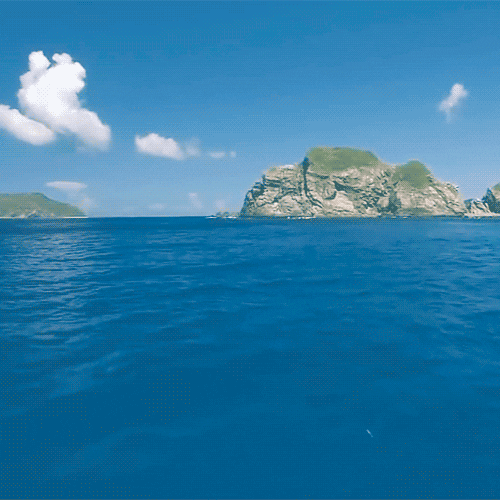 Ocean Animated GIF