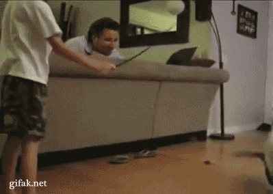cat animated GIF 