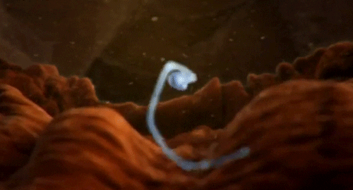 sperm (4) Animated Gif on Giphy
