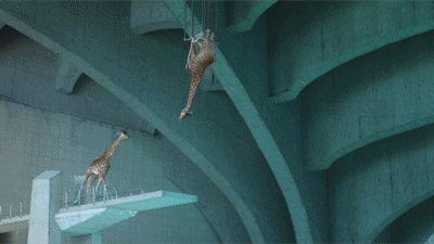 http://media.giphy.com/media/19U2MQRQNo6IM/giphy.gif