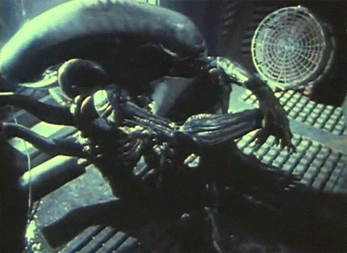 this gif has everything: movies, scary, alien, aliens!