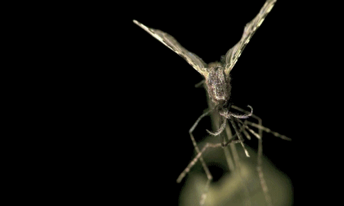 film (6529) Animated Gif on Giphy