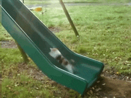  Animated Gif on Giphy