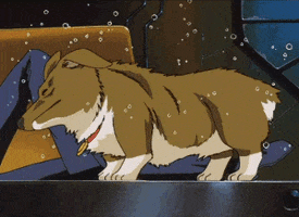 None Animated Gif on Giphy