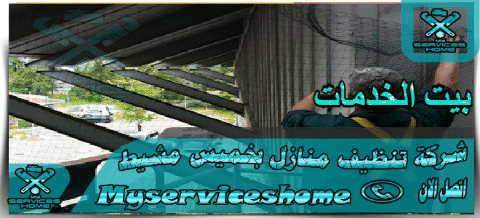 شركة مكافحة حشرات بخميس مشيط وجدة