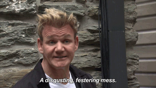 Gordon Ramsay Smh GIF by Fox TV - Find & Share on GIPHY