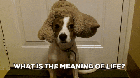Meaning Of Life GIF by Becky Chung - Find & Share on GIPHY