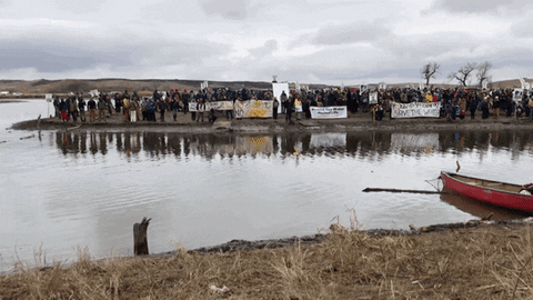 Standing Rock protests 