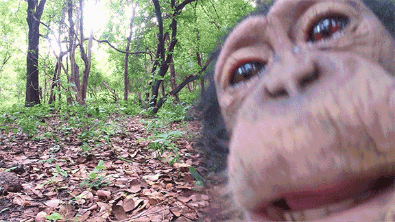 Licking Spy In The Wild GIF by ThirteenWNET - Find & Share on GIPHY