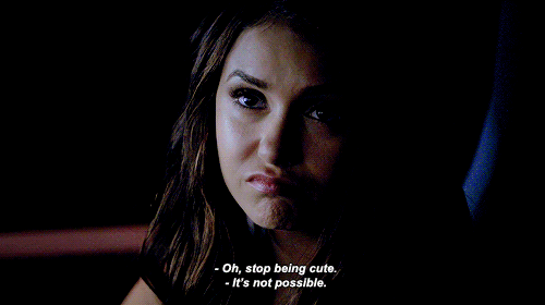 shortener shorten katherine pierce animated gif dimensions: 500x