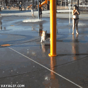 WAIT ANIMATED GIF wait animated gif: