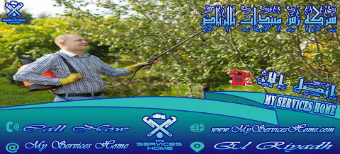 شركة رش مبيدات بالرياض ومكة