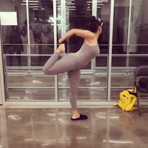 giphy.gif