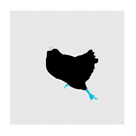 Run Chicken GIF by Andrea C. - Find & Share on GIPHY