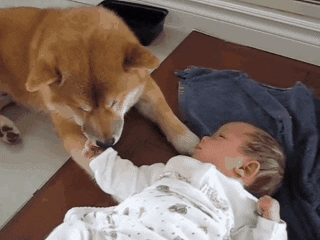 source: imgur.com