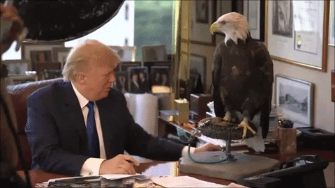 Donald Trump Attack GIF - Find & Share on GIPHY