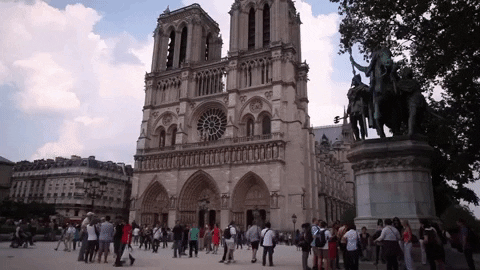 France Paris GIF - Find & Share on GIPHY