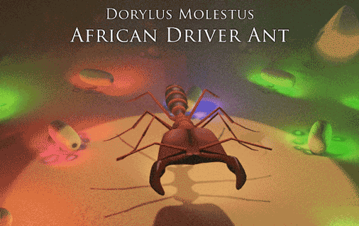 driver ants enemy