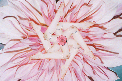None animated GIF 