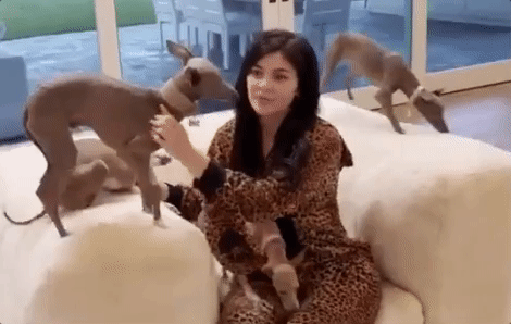 Kylie Jenner GIF - Find & Share on GIPHY