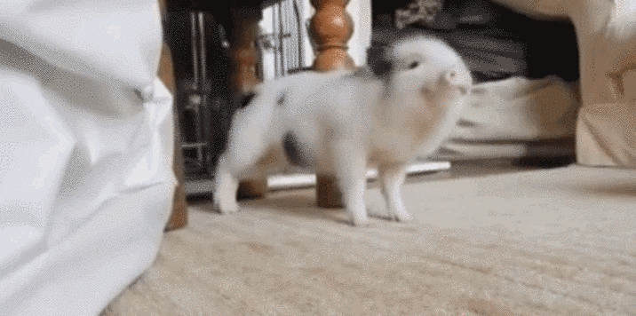 source: imgur.com