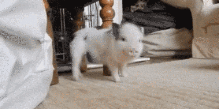 source: imgur.com