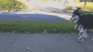 source: imgur.com