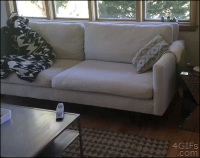 sofa-burp