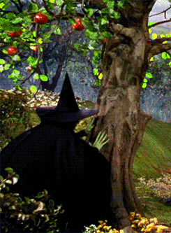 giphy.gif