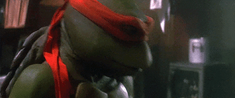 giphy.gif