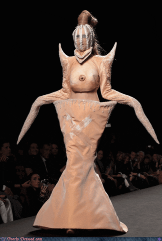 giphy.gif