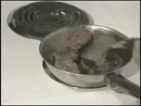 flipping food out of pan
