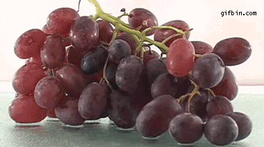 grapes animated GIF