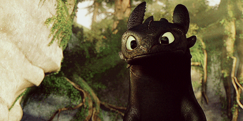 how to train your dragon animated GIF