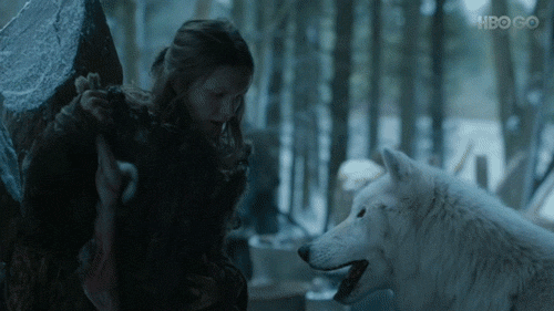 tv game of thrones ghost animated GIF