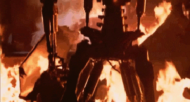 Terminator on fire